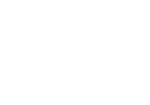 Central Auto Services